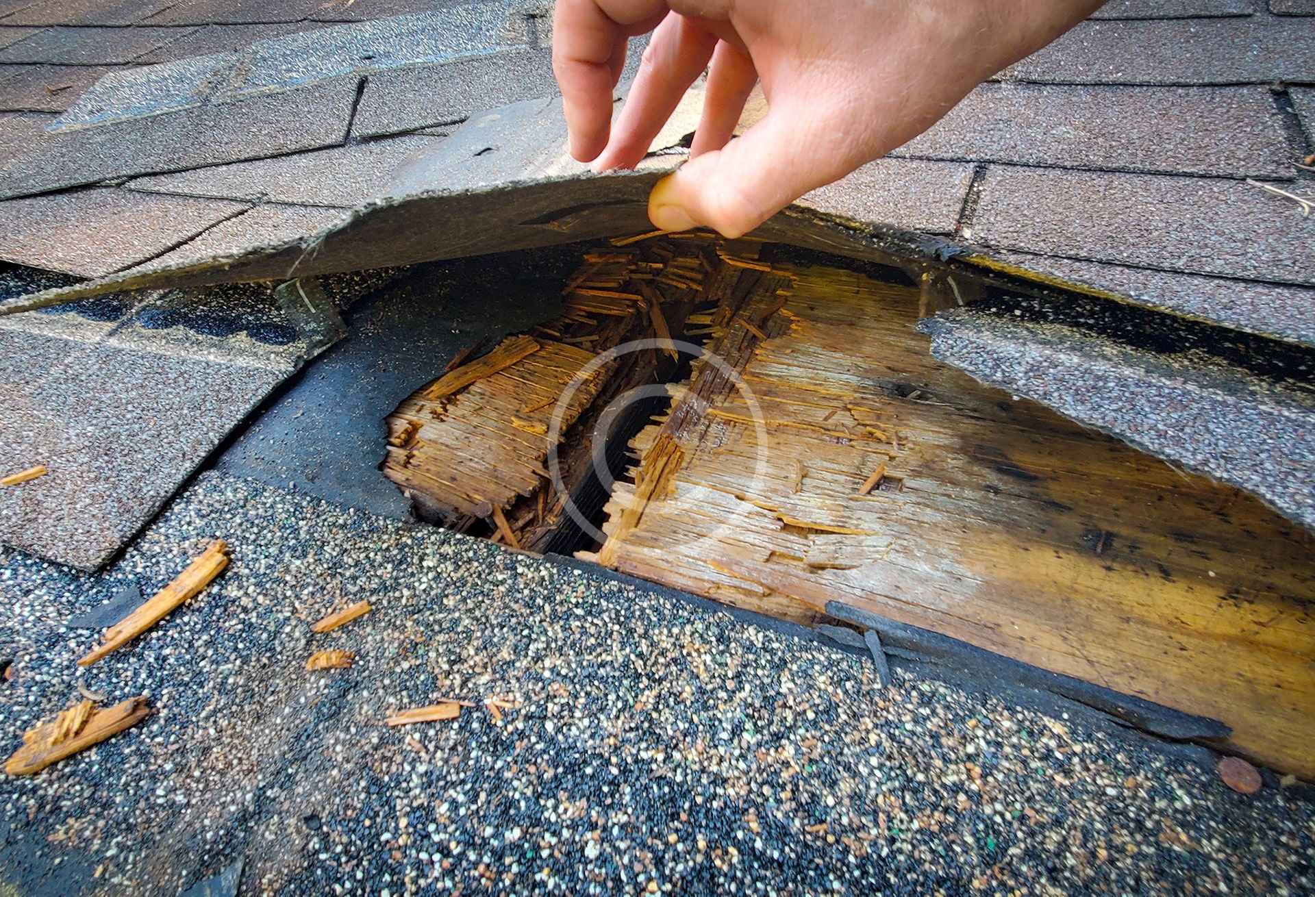 Execution & Supervision